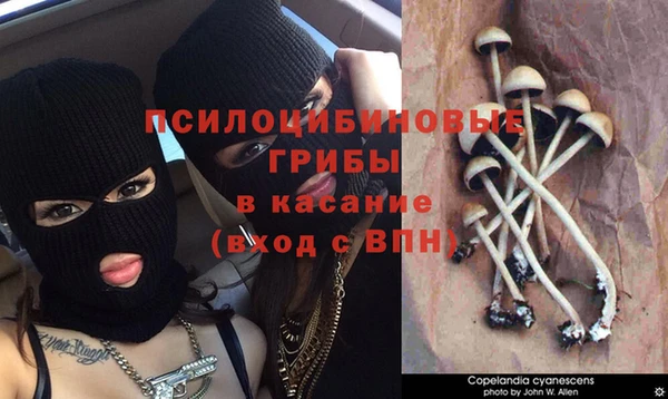 соль ск Бугульма