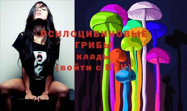 герыч Бронницы