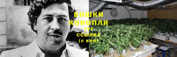 герыч Бронницы