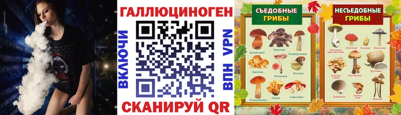 сайты даркнета как зайти  Курск  Псилоцибиновые грибы MAGIC MUSHROOMS 